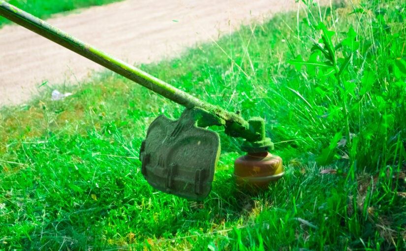 Dual Blade Lawnmowers Simulations for Airflow and Clippings Dynamics​ (ABP)