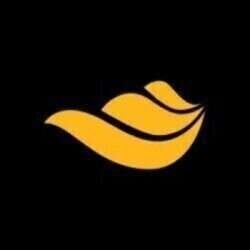 Ansys Fluids Taiwan頭像