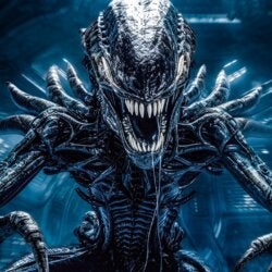 Ansys Feed - Pelisplus—Ver Alien: Romulus 2024 Online HD Pelicula Completa en Español thumbnail