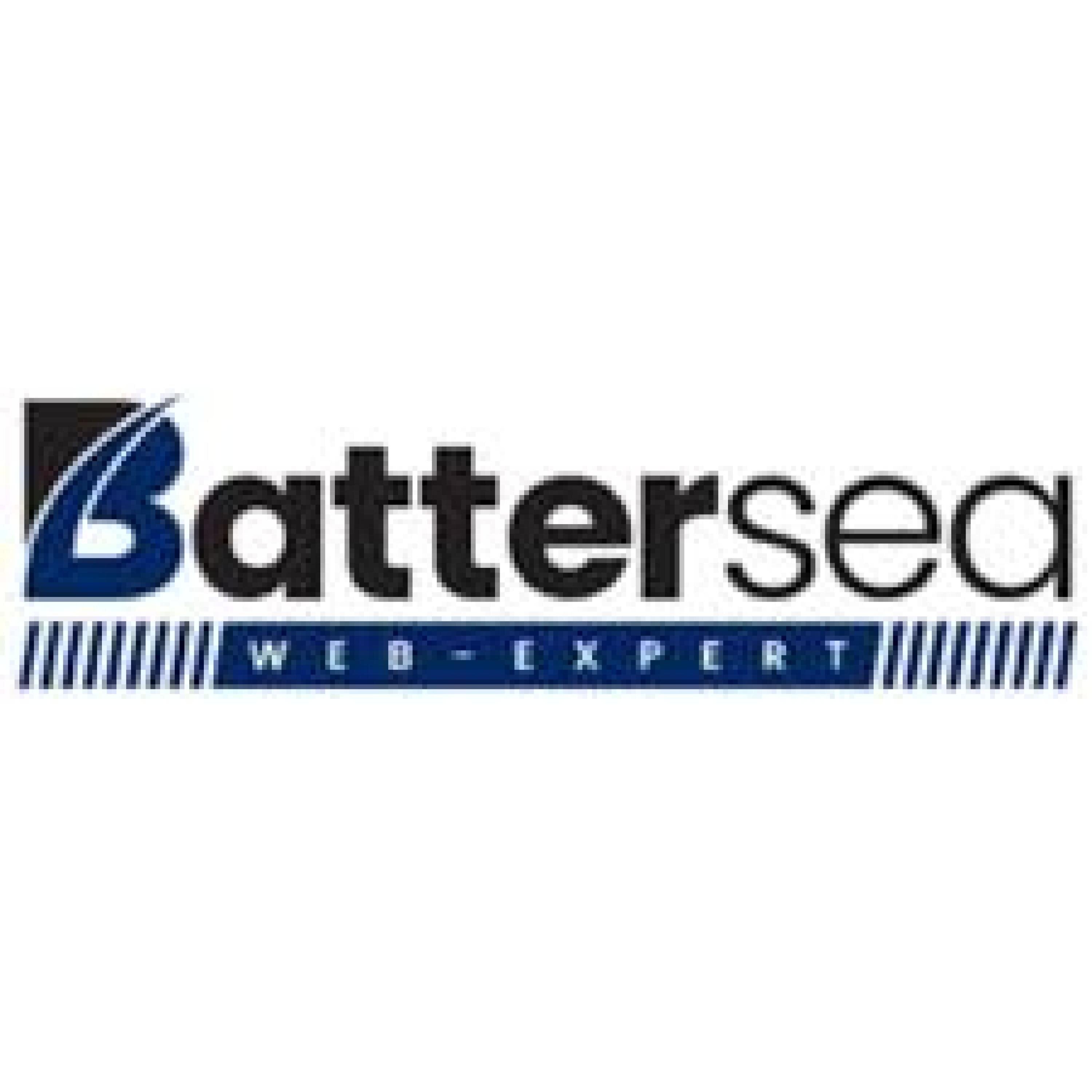 Battersea webexpert cover photo