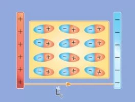 Electrostatic-Interactions2-1