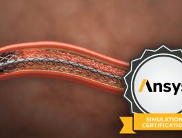 Stent-Simulation_Certificate_Design