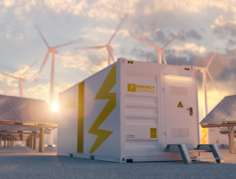 Energy Storage Options