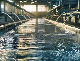 Fresh water flows down a pipe inside an industrial factory, being treated and cleaned for reuse in an eco-friendly process