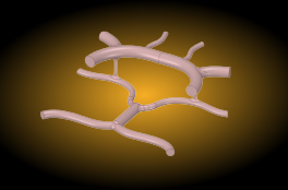 Circle_of_Willis.png